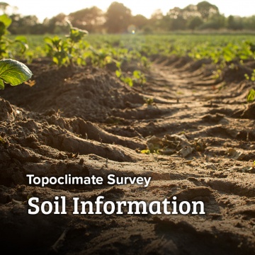 Topoclimate - Soil Information Sheets